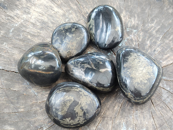 Polished Pharaoh Stone Galet / Palm Stones x 6 From Zimbabwe