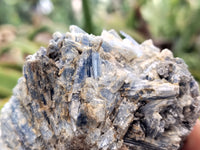 Natural Kyanite and Red Garnet Matrix Specimens x 4 From Zimbabwe