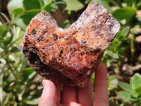 Natural Red Jasper Specimens x 4 From Northern Cape, South Africa