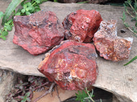 Natural Red Jasper Specimens x 4 From Northern Cape, South Africa