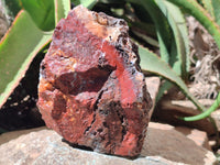 Natural Red Jasper Specimens x 4 From Northern Cape, South Africa