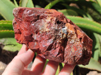 Natural Red Jasper Specimens x 4 From Northern Cape, South Africa