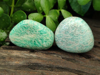 Polished Amazonite Free Forms x 18 From Madagascar