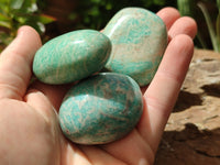 Polished Amazonite Free Forms x 18 From Madagascar