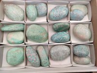 Polished Amazonite Free Forms x 18 From Madagascar