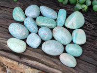 Polished Amazonite Free Forms x 18 From Madagascar