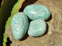 Polished Amazonite Free Forms x 18 From Madagascar