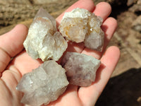 Natural Spirit Quartz Crystals x 63 From Boekenhouthoek, South Africa