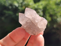 Natural Spirit Quartz Crystals x 63 From Boekenhouthoek, South Africa