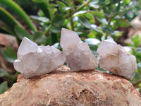 Natural Spirit Quartz Crystals x 63 From Boekenhouthoek, South Africa