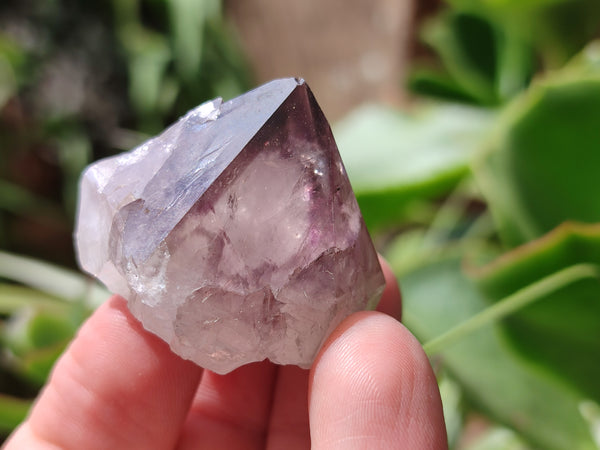 Natural Spirit Quartz Crystals x 63 From Boekenhouthoek, South Africa