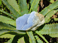 Natural Blue Lace Agate Geode Specimens x 24 From Malawi