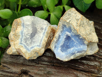 Natural Blue Lace Agate Geode Specimens x 24 From Malawi