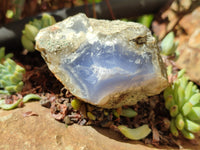 Natural Blue Lace Agate Geode Specimens x 24 From Malawi