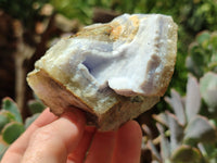 Natural Blue Lace Agate Geode Specimens x 24 From Malawi