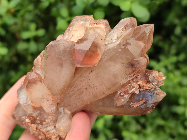 Natural Hematoid Quartz Clusters x 2 From Zambia