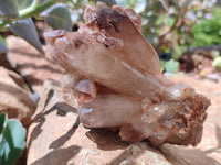 Natural Hematoid Quartz Clusters x 2 From Zambia