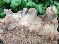 Natural Hematoid Quartz Clusters x 2 From Zambia