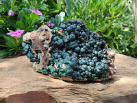 Natural Ball Malachite On Dolomite Matrix Specimen x 1 From Kambove, Congo