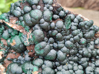 Natural Ball Malachite On Dolomite Matrix Specimen x 1 From Kambove, Congo