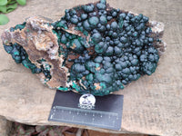 Natural Ball Malachite On Dolomite Matrix Specimen x 1 From Kambove, Congo