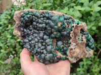 Natural Ball Malachite On Dolomite Matrix Specimen x 1 From Kambove, Congo