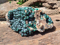 Natural Ball Malachite On Dolomite Matrix Specimen x 1 From Kambove, Congo