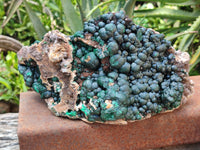 Natural Ball Malachite On Dolomite Matrix Specimen x 1 From Kambove, Congo