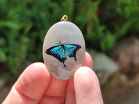 Polished Polychrome Jasper Pendant with Hand Painted Butterflies - sold per item - From Madagascar