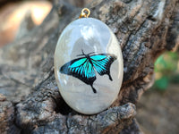 Polished Polychrome Jasper Pendant with Hand Painted Butterflies - sold per item - From Madagascar