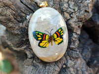 Polished Polychrome Jasper Pendant with Hand Painted Butterflies - sold per item - From Madagascar