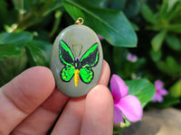 Polished Polychrome Jasper Pendant with Hand Painted Butterflies - sold per item - From Madagascar