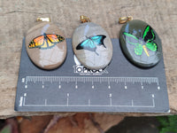 Polished Polychrome Jasper Pendant with Hand Painted Butterflies - sold per item - From Madagascar