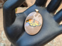 Polished Polychrome Jasper Pendant with Hand Painted Butterflies - sold per item - From Madagascar