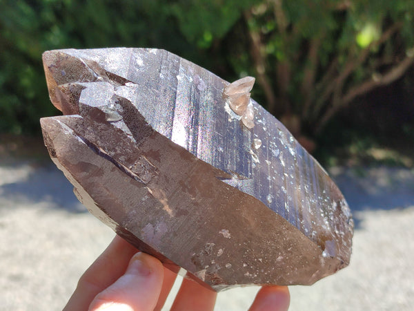 Natural Smokey Quartz Crystals x 3 From Malawi