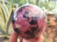 Polished Rhodonite Spheres x 6 From Ambindavato, Madagascar