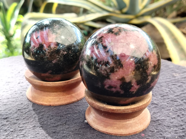 Polished Rhodonite Spheres x 6 From Ambindavato, Madagascar