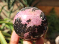 Polished Rhodonite Spheres x 6 From Ambindavato, Madagascar