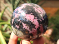 Polished Rhodonite Spheres x 6 From Ambindavato, Madagascar