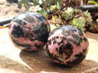 Polished Rhodonite Spheres x 6 From Ambindavato, Madagascar