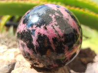 Polished Rhodonite Spheres x 6 From Ambindavato, Madagascar