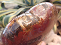 Polished Podocarpus Petrified Wood Heart x 1 From Mahajanga, Madagascar