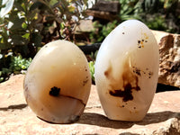 Polished Dendritic Agate Standing Free Forms x 5 From Madagascar