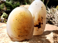 Polished Dendritic Agate Standing Free Forms x 5 From Madagascar