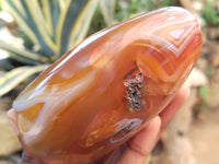 Polished Dendritic Agate Standing Free Forms x 5 From Madagascar