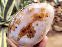 Polished Dendritic Agate Standing Free Forms x 5 From Madagascar