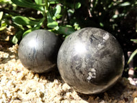 Polished Pharaoh Stone Sphere x 2 From Zimbabwe