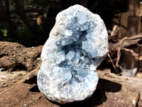 Natural Celestite Geode Specimen x 1 From Sakoany, Madagascar