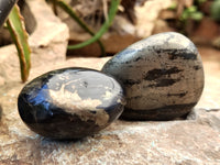 Polished Pharaoh Stone Galet / Palm Stones x 6 From Zimbabwe