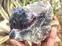 Natural Watermelon Fluorite Cobbed Specimens x 6 From Uis, Namibia